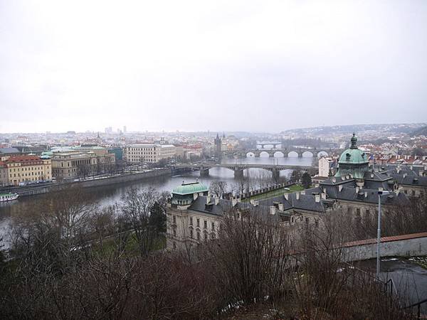 P1130772.JPG