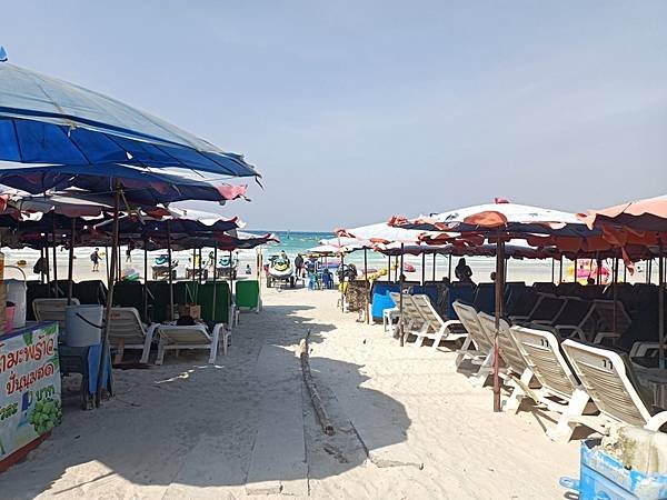 IMG_20230130_144717.jpg