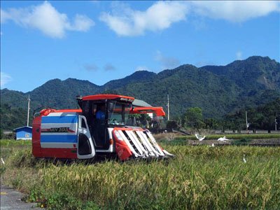 「找小屋」報名，11日（星期三）中午截止