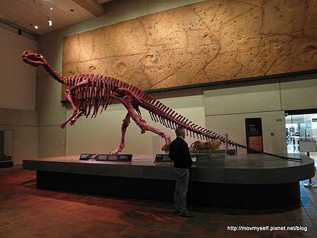 035-SAM_0061.JPG