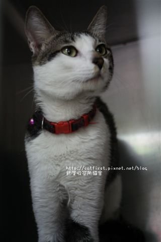 d8c4da789a7fafafa99c5ab9acc7fd50.jpg