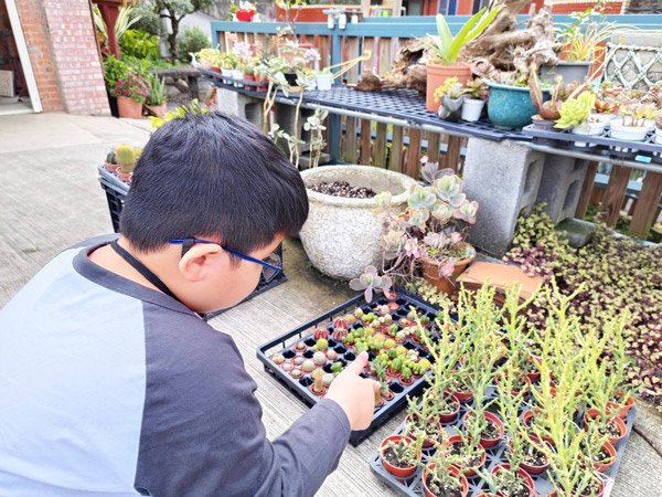 親子半日遊行程推薦｜繞山花 三和青創基地｜手作多肉植物組合盆