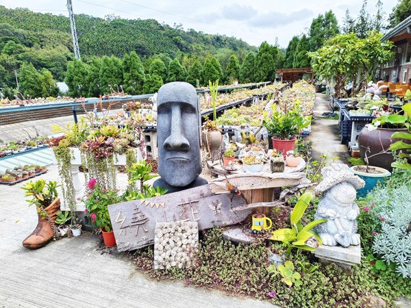 親子半日遊行程推薦｜繞山花 三和青創基地｜手作多肉植物組合盆