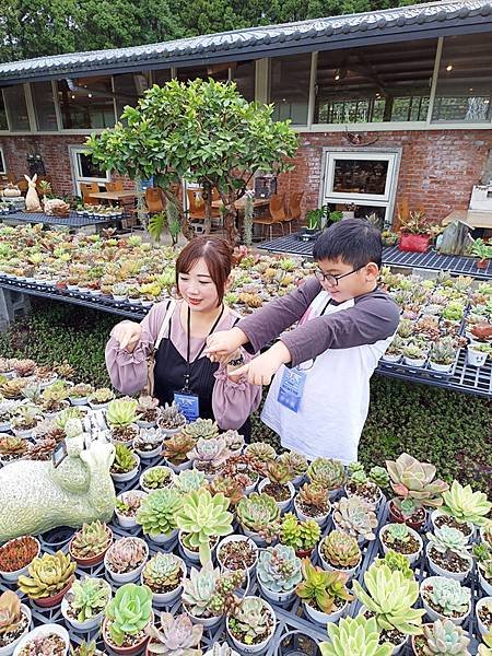 親子半日遊行程推薦｜繞山花 三和青創基地｜手作多肉植物組合盆