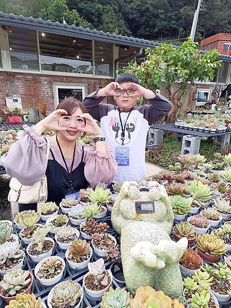 親子半日遊行程推薦｜繞山花 三和青創基地｜手作多肉植物組合盆