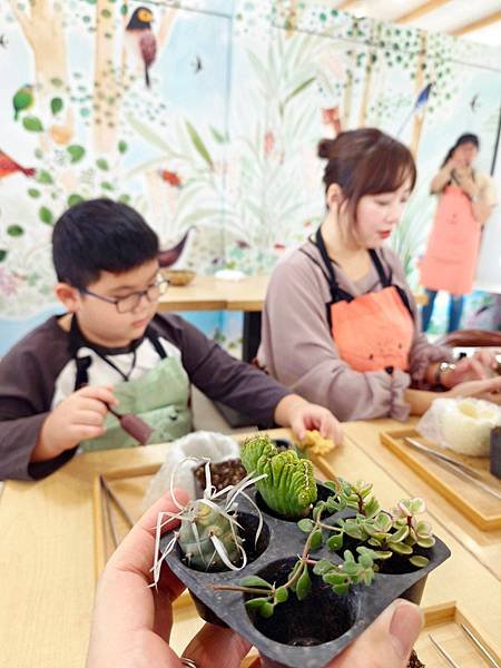 親子半日遊行程推薦｜繞山花 三和青創基地｜手作多肉植物組合盆