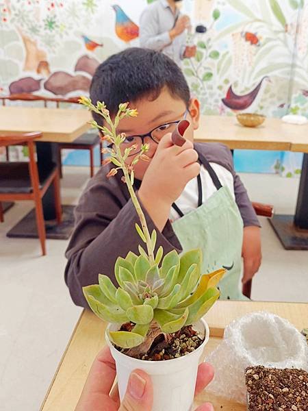 親子半日遊行程推薦｜繞山花 三和青創基地｜手作多肉植物組合盆