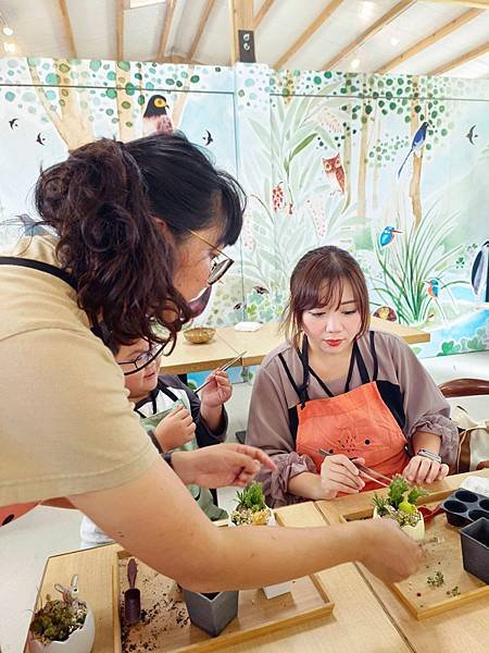 親子半日遊行程推薦｜繞山花 三和青創基地｜手作多肉植物組合盆