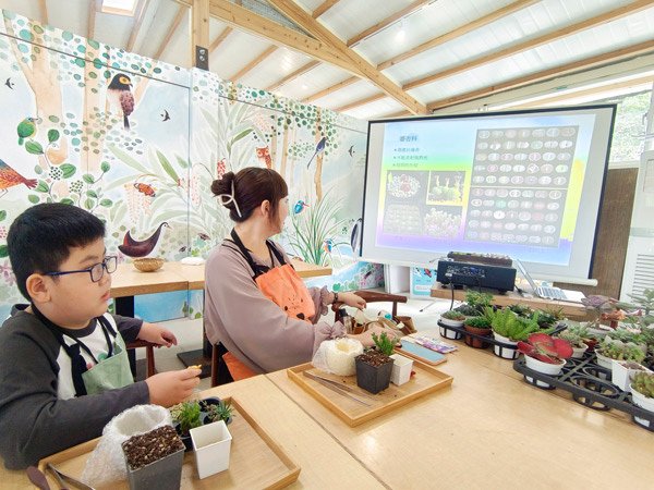 親子半日遊行程推薦｜繞山花 三和青創基地｜手作多肉植物組合盆