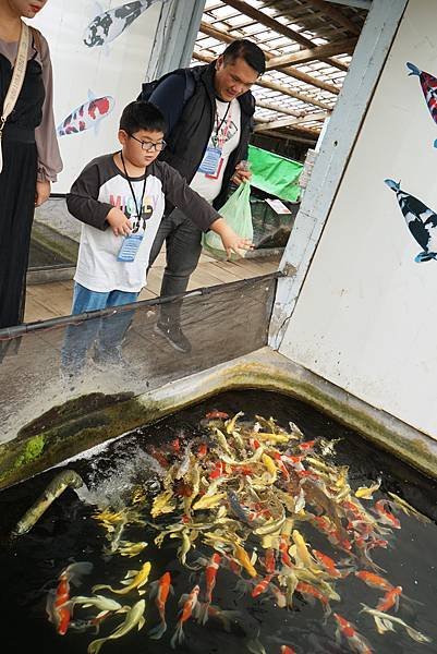 親子半日遊行程推薦｜繞山花 三和青創基地｜手作多肉植物組合盆