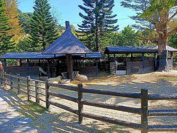 親子大溪半日遊行程推薦｜蘇家莊園｜萬坪莊園 可愛動物互動