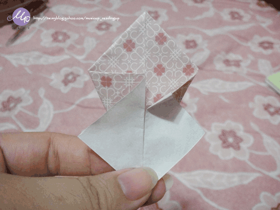 DSC01520-OK.gif