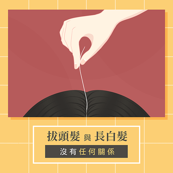 懶人包2-1.png