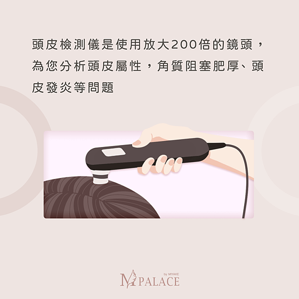 懶人包-7.png