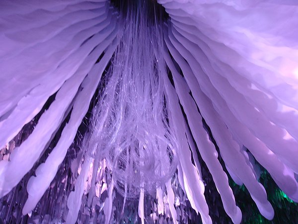 DSC04080.JPG