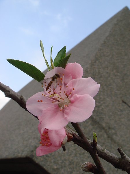 DSC03697.JPG