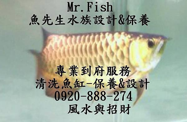 魚先生水族館 : TEL:0920-888-274 