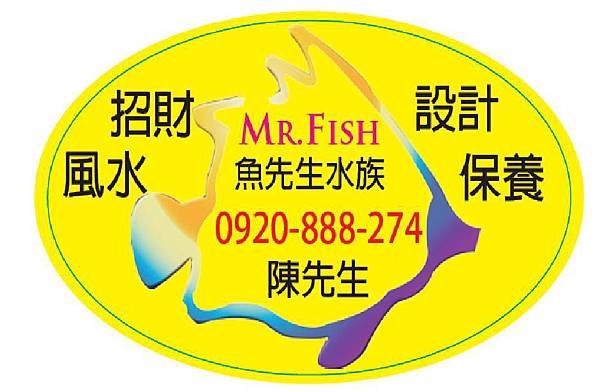 魚先生水族館TEL:0920-888-274洗魚缸ˋ魚缸清洗保養ˋ清洗魚缸ˋ魚缸訂做ˋ魚缸造景