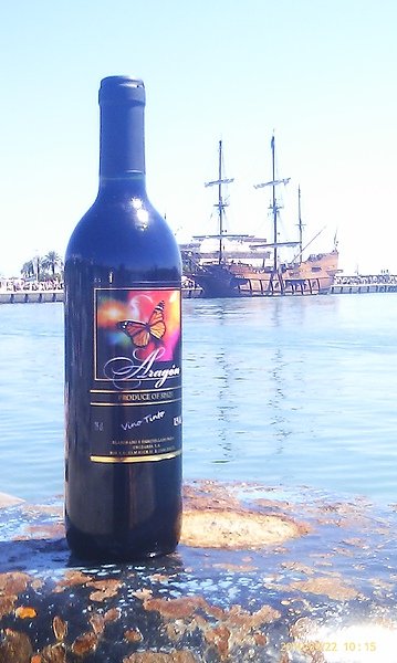 IMAG0571.jpg