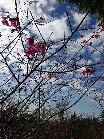 IMG_0079