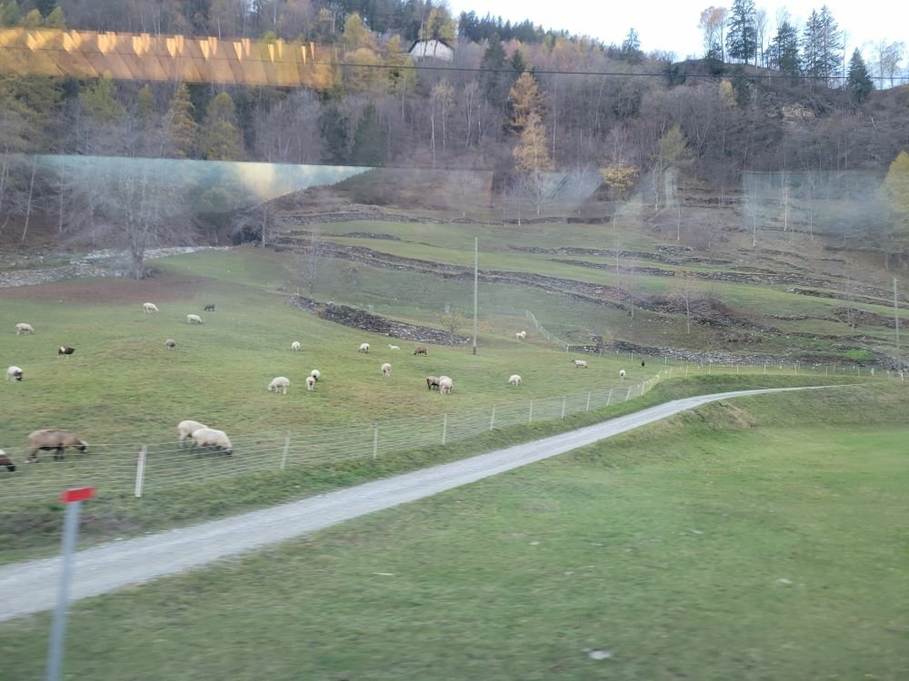 20221113_151149.jpg