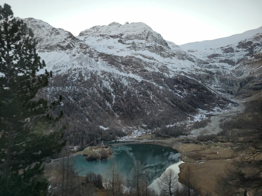 20221113_154501.jpg
