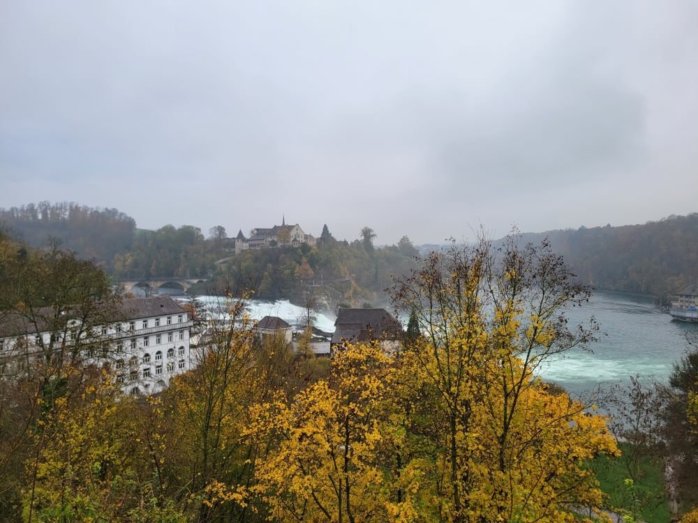 20221114_085925.jpg