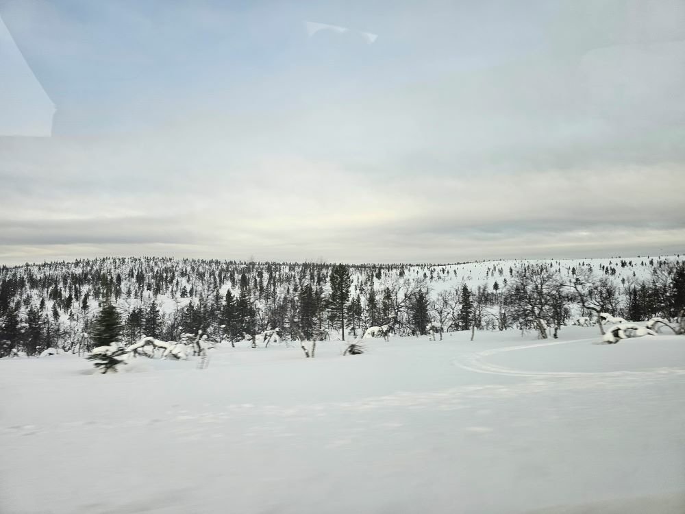 20230304_140618.jpg