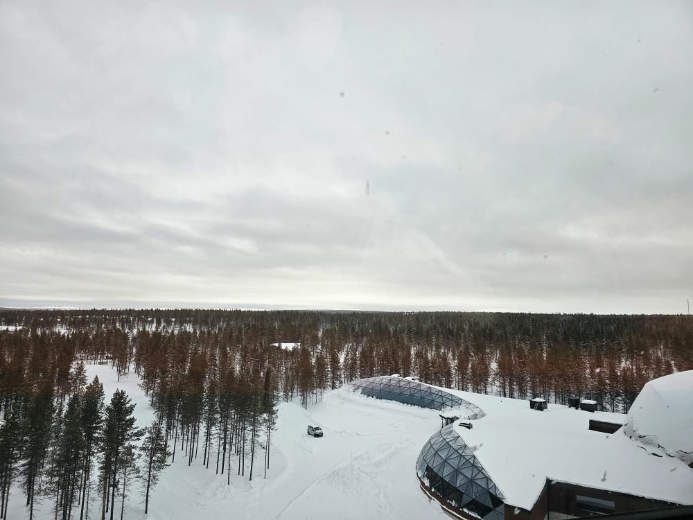 20230304_154535.jpg