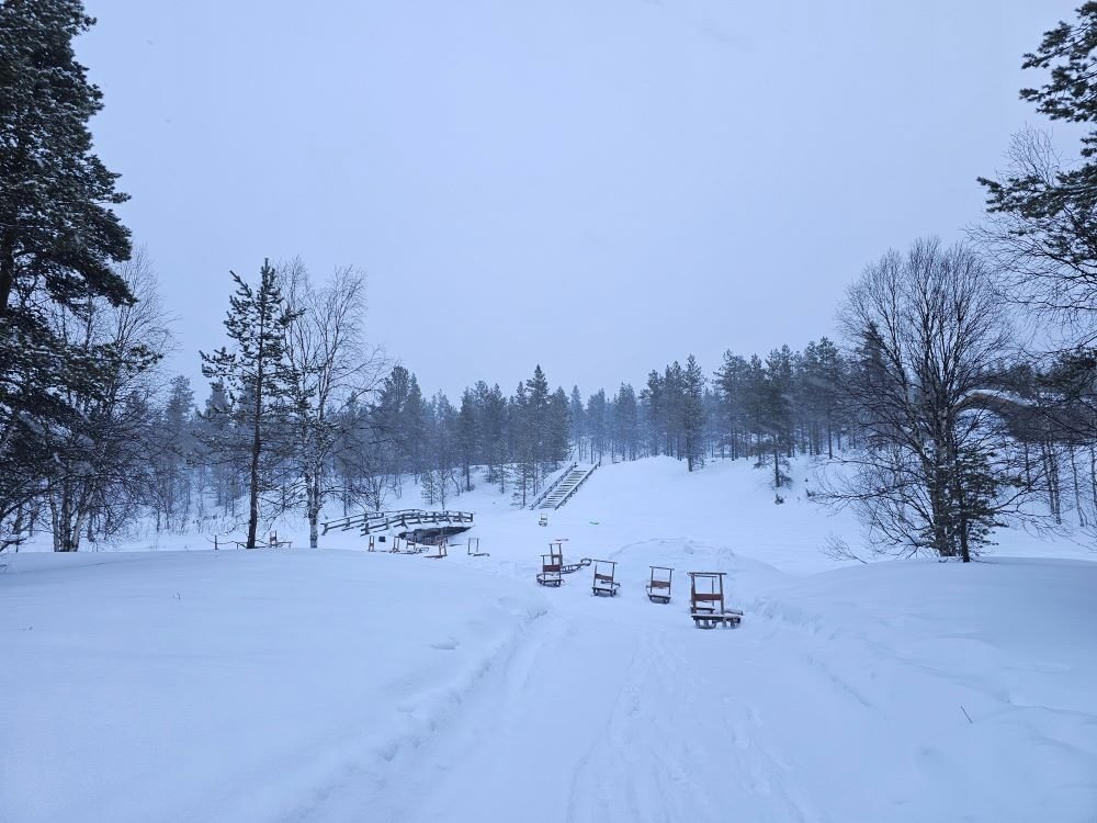 20230305_075134.jpg