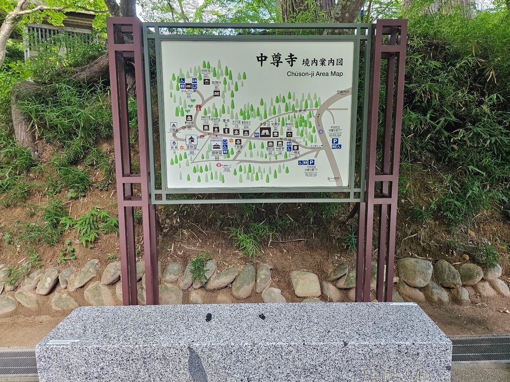 20230726_133244.jpg