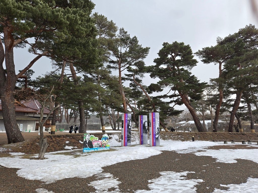 日本旅遊║函館║五稜郭塔 俯瞰白雪覆蓋的雪白星城