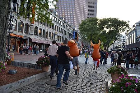 DSC_2017