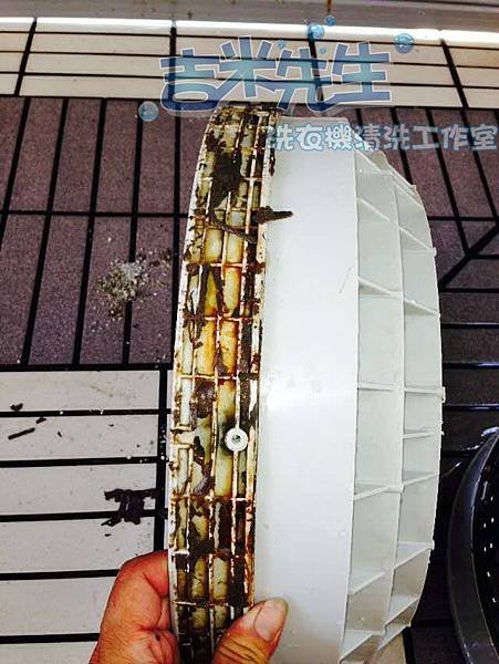 台南洗衣機清洗-吉米先生洗衣機清洗工作室_19.jpg