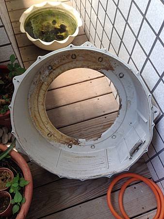 S__11517961.jpg