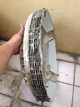 S__17416198.jpg