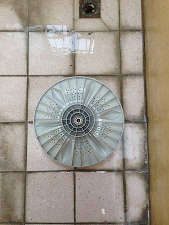 S__17416209.jpg