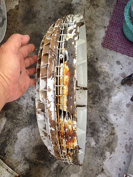 台南洗衣機清洗-吉米先生洗衣機清洗工作室_12.jpg