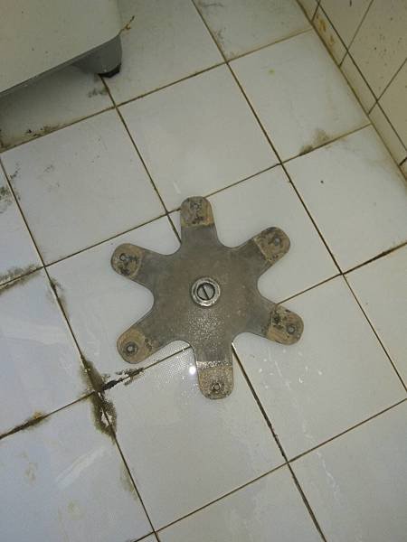 27654.jpg