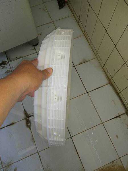 27650.jpg