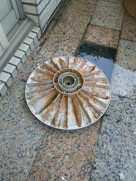 5427.jpg
