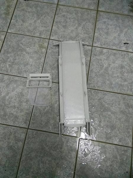 7912.jpg