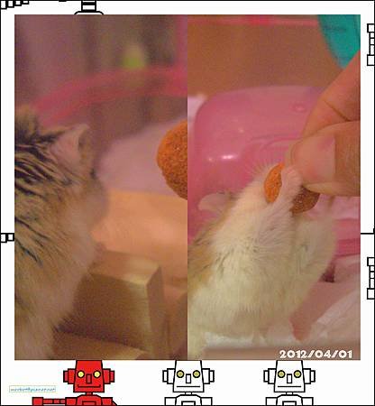 20120401.jpg