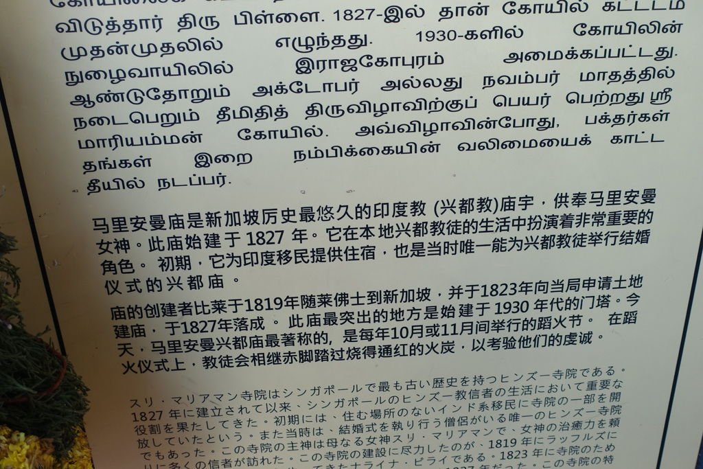 DSC02702