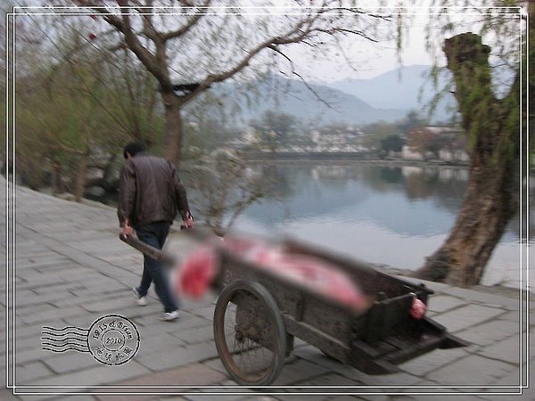 照片 460.jpg