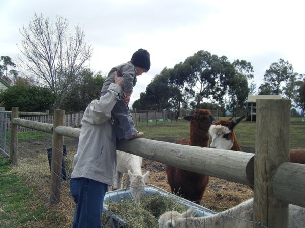 2009_0608bundoora0037.JPG