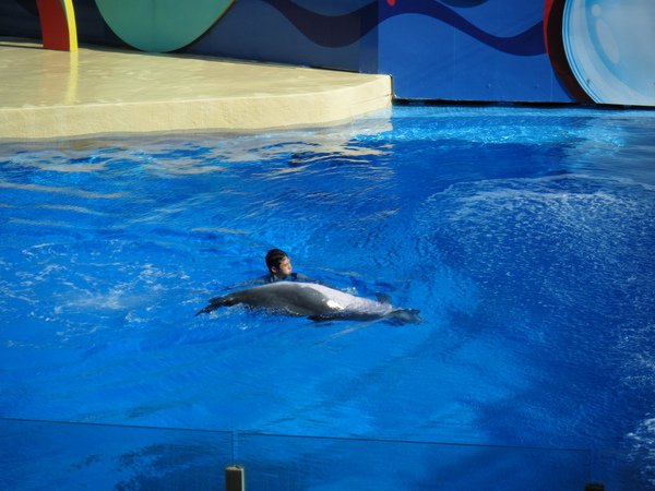 2009_0907oceanpark0105.JPG