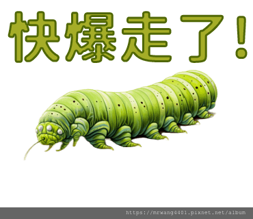  26.png