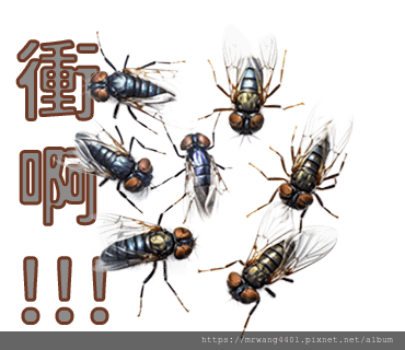  26.png