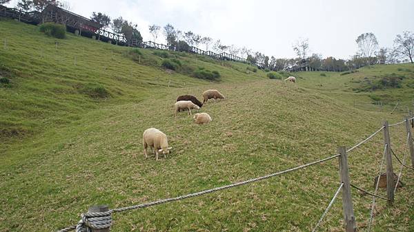 清境美景